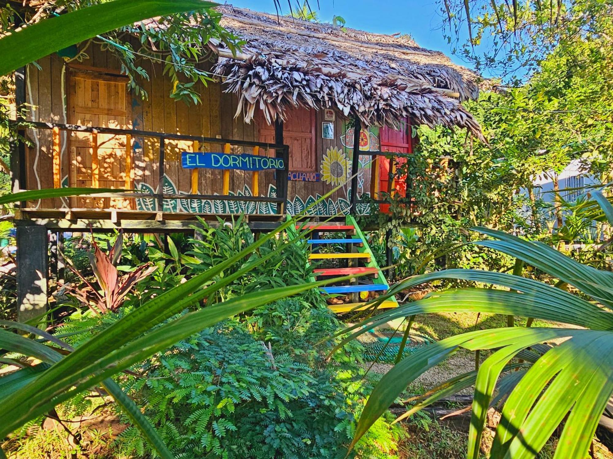 Hakuna Matata Ecolodge El Valle  Exterior foto