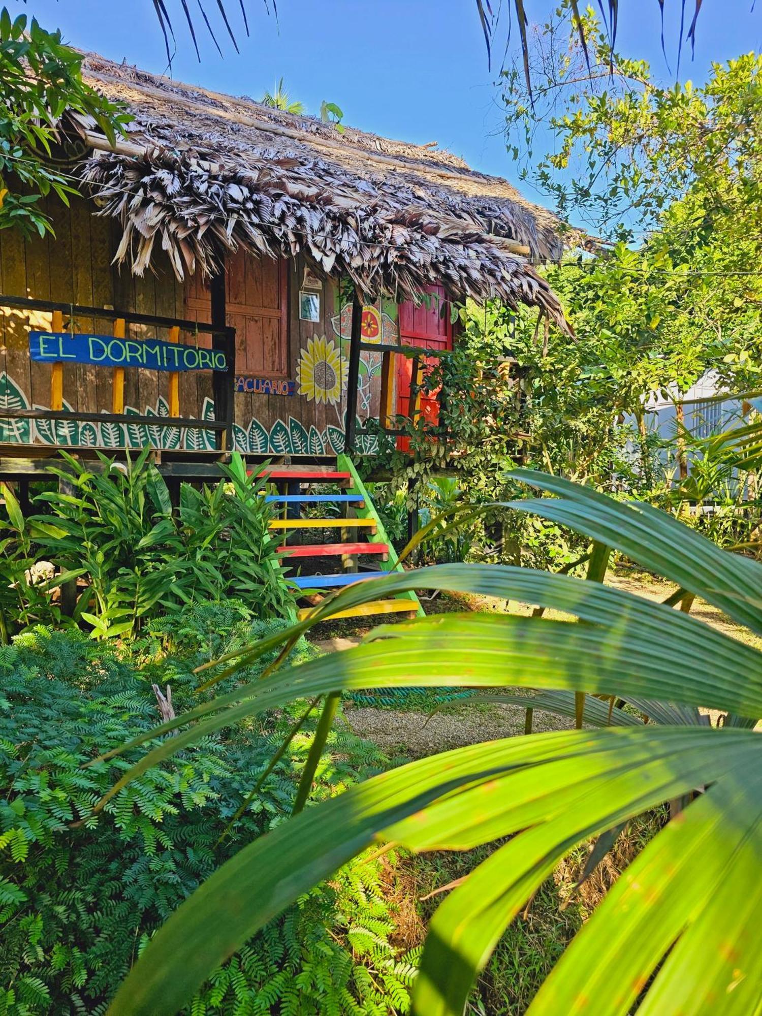 Hakuna Matata Ecolodge El Valle  Exterior foto